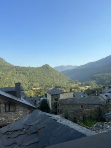 IMG_6122